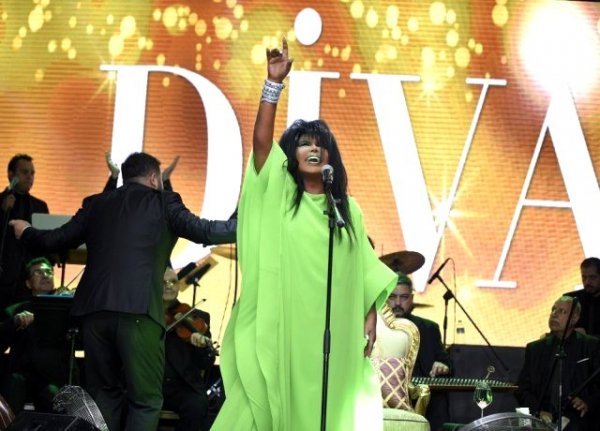 Bülen Ersoy: Aptal bunlar