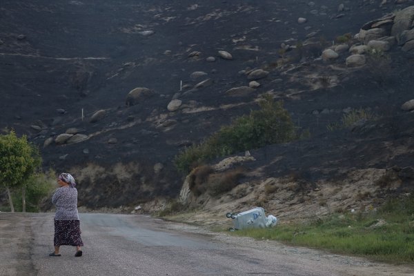 Marmara Adası'nda 80 hektar alan kül oldu