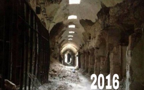 Halep'te hayat normale dönüyor