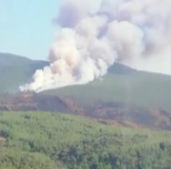Farklı noktalarda üst üste orman yangınları