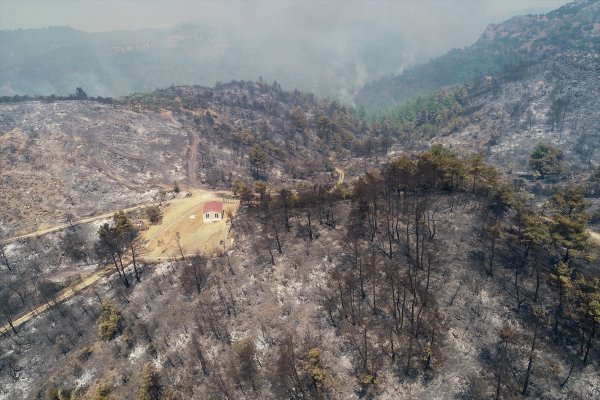 a İzmir'de 500 hektar orman yandı