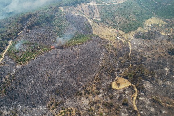 a İzmir'de 500 hektar orman yandı