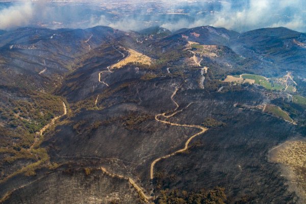 a Tunç Soyer, yanan alanlara ağaç dikileceğini söyledi