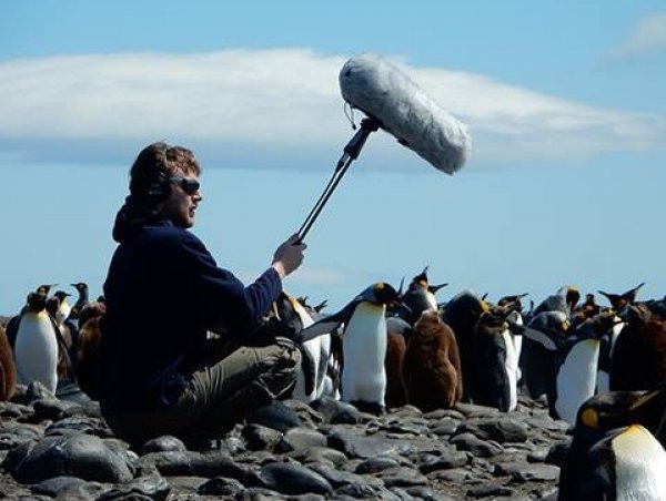 Fransız besteci, ayı saldırısında hayatını kaybetti