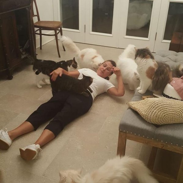 Nilüfer'in kedileri