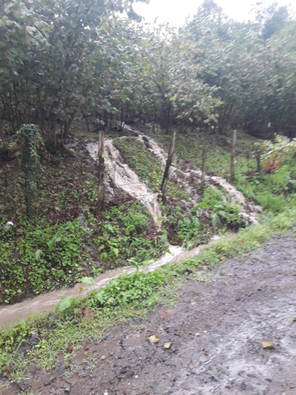 Samsun'daki sel nedeniyle 2 kişi hayatını kaybetti