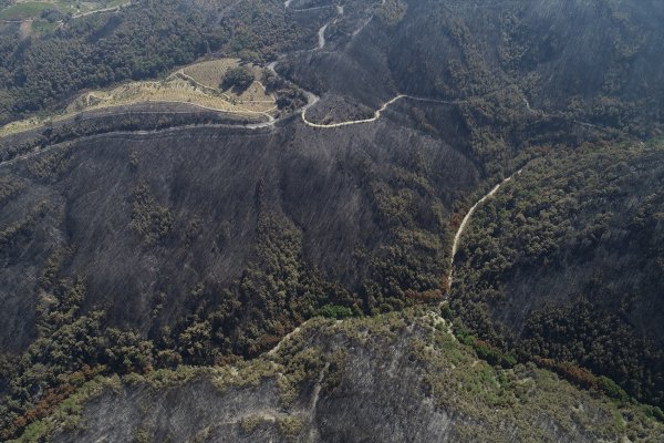 a Tunç Soyer'e göre İzmir'de yanan alan daha büyük
