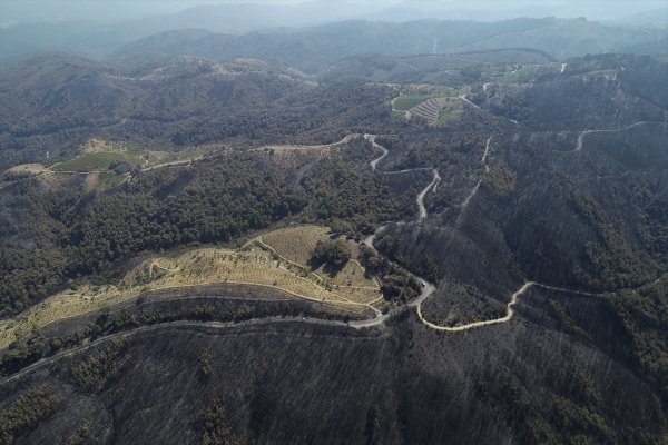 a Tunç Soyer'e göre İzmir'de yanan alan daha büyük