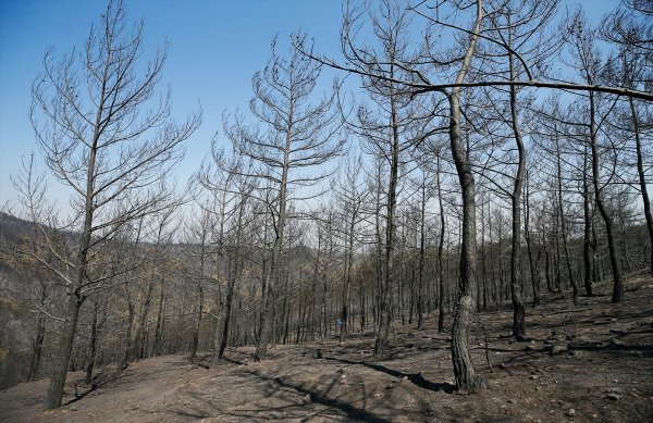 a Tunç Soyer'e göre İzmir'de yanan alan daha büyük