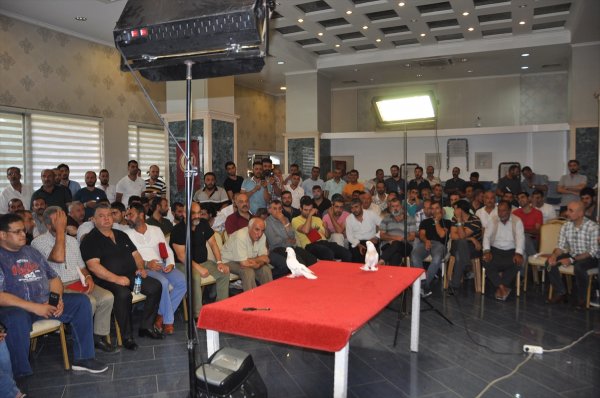 Adıyaman'da otomobil fiyatına güvercinler sergilendi