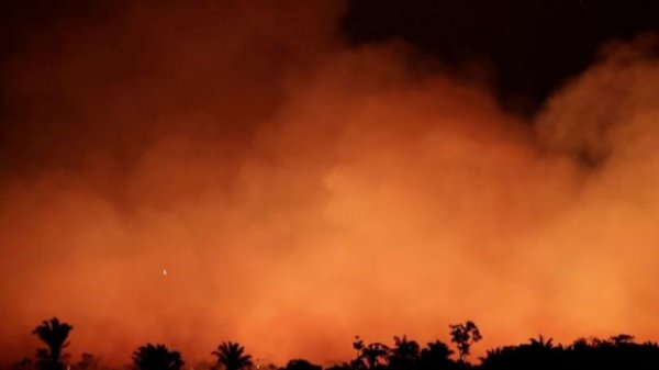 r Brezilya Amazonlar'daki yangına yardım etmeyi reddeti