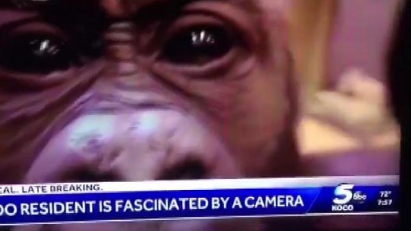 ABD'li sunucu ırkçı yorumundan sonra özür diledi