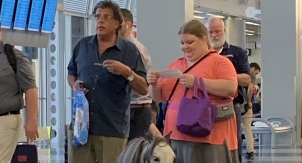 ABD'de uçağa atıyla bindi