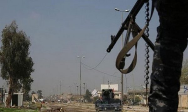 DEAŞ Irak'ta bomba yüklü ineklerle saldırdı