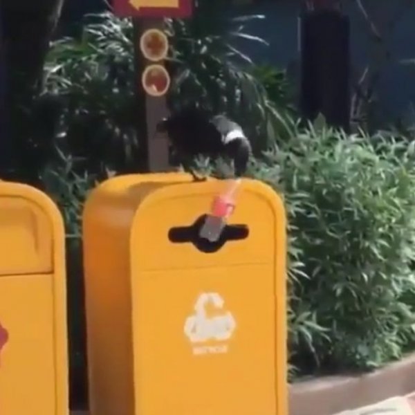 Işın Karaca: Çocuklarımızın arkasını toplamak sevgi değil