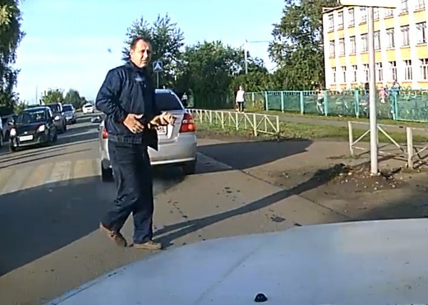 Yavru kediyi görmeyen Rus sürücü kediyi eziyordu