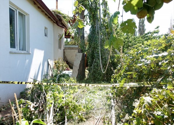 Kestiği kavak ağacının dallarına başı sıkışan kişi öldü