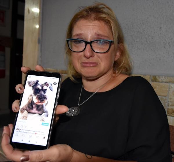 Pitbull süs köpeğini boğarak öldürdü