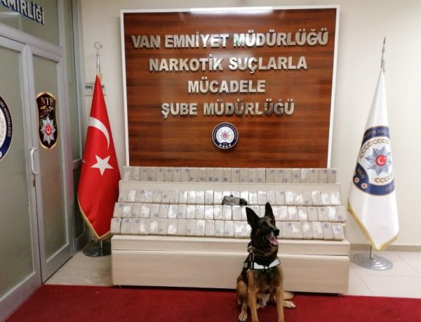 i Narkotik köpeği 'Kara' 50 kilo eroin buldu