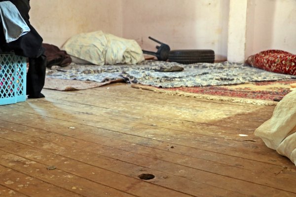 Antalyalı aile yılan korkusundan evine giremiyor