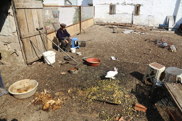 a 90 yaşında, hayvanlar için her gün 2 kilometre yürüyor