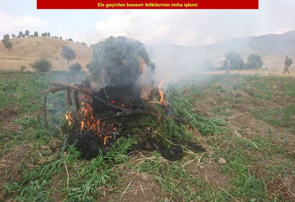 1 ton esrar, 6 milyon 718 bin kenevir ele geçirildi