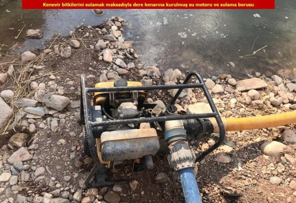 1 ton esrar, 6 milyon 718 bin kenevir ele geçirildi