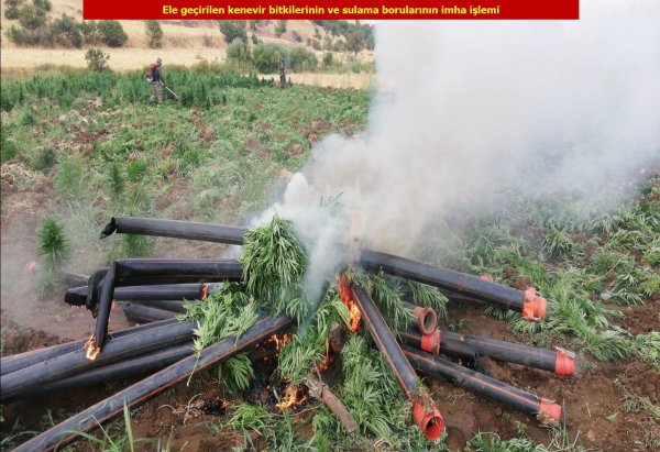 1 ton esrar, 6 milyon 718 bin kenevir ele geçirildi