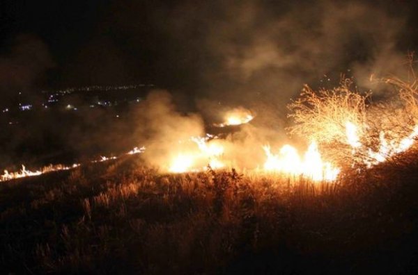 Tekirdağ'da 200 dönümlük orman kül oldu
