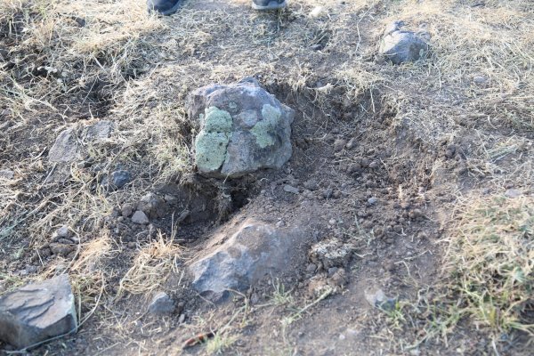 İki kardeşi PKK'nın öldürdüğü kesinleşti