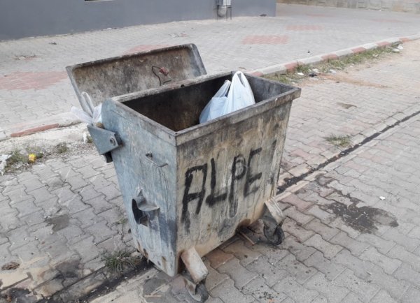 Çöpe atılmış bebeği köpekler parçalamadan yetiştiler