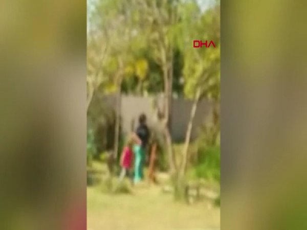 Komşusunun köpeğini vahşice öldürdü