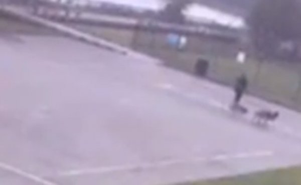 ABD'de yolda yürüyen adama yıldırım çarptı