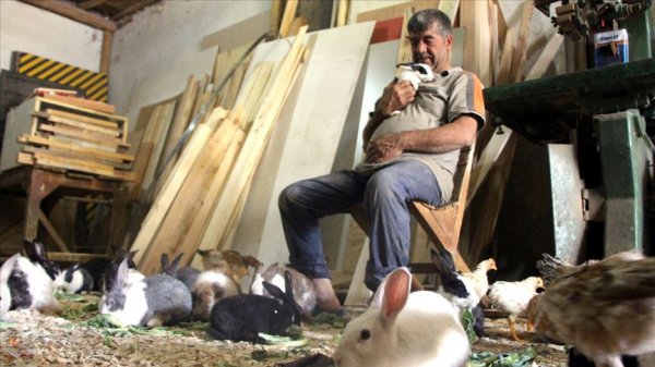 a Marangozun tavşan sevgisi