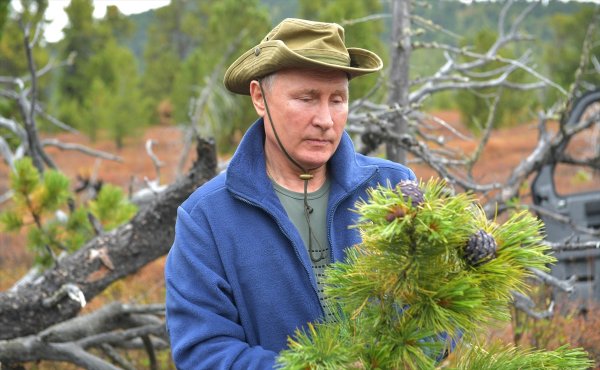 Putin ve Şoygu ormanda