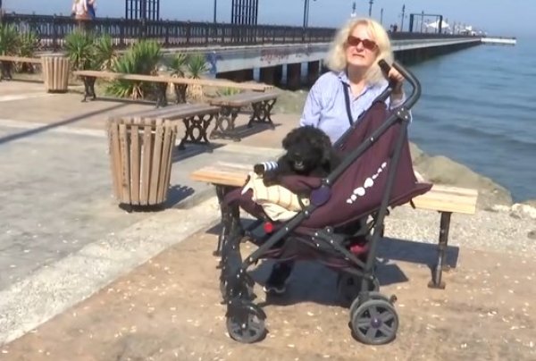 Yaşlı ve hasta köpeğine 'bebek' gibi bakıyor