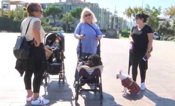 Yaşlı ve hasta köpeğine 'bebek' gibi bakıyor