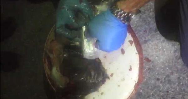 d Kayseri'de uyuşturucu operasyonu