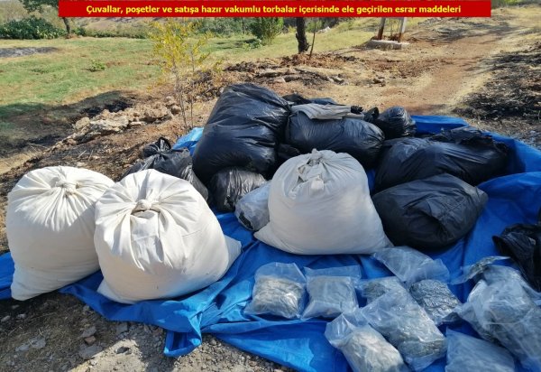 PKK'nın finansal ayağına darbe