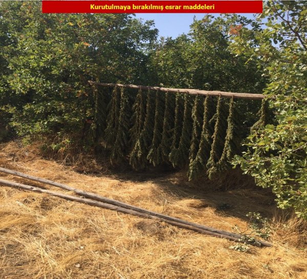 PKK'nın finansal ayağına darbe