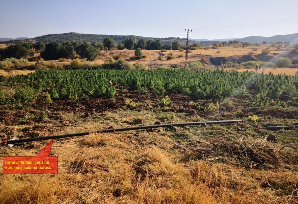 PKK'nın finansal ayağına darbe