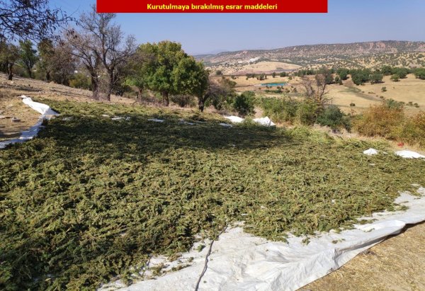 PKK'nın finansal ayağına darbe