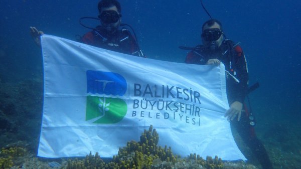 Edremit'te kırmızı mercanlar korunacak