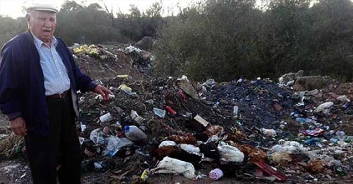 Yaşlı adamın tavukları köpekler tarafından telef edildi