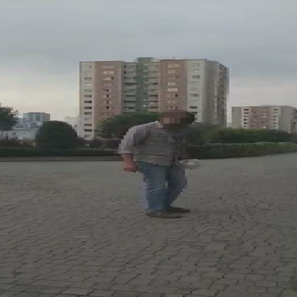 Sitenin bahçesindeki kedileri zehirlemeye çalıştı