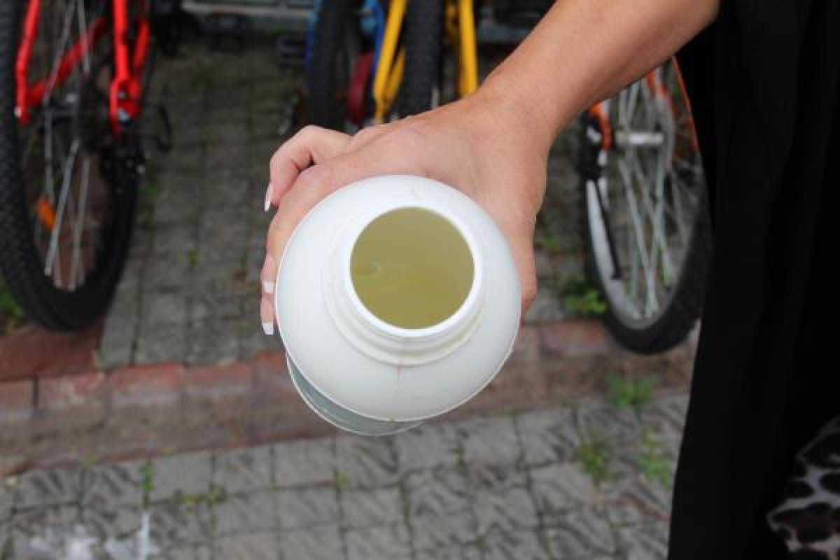 Sitenin bahçesindeki kedileri zehirlemeye çalıştı