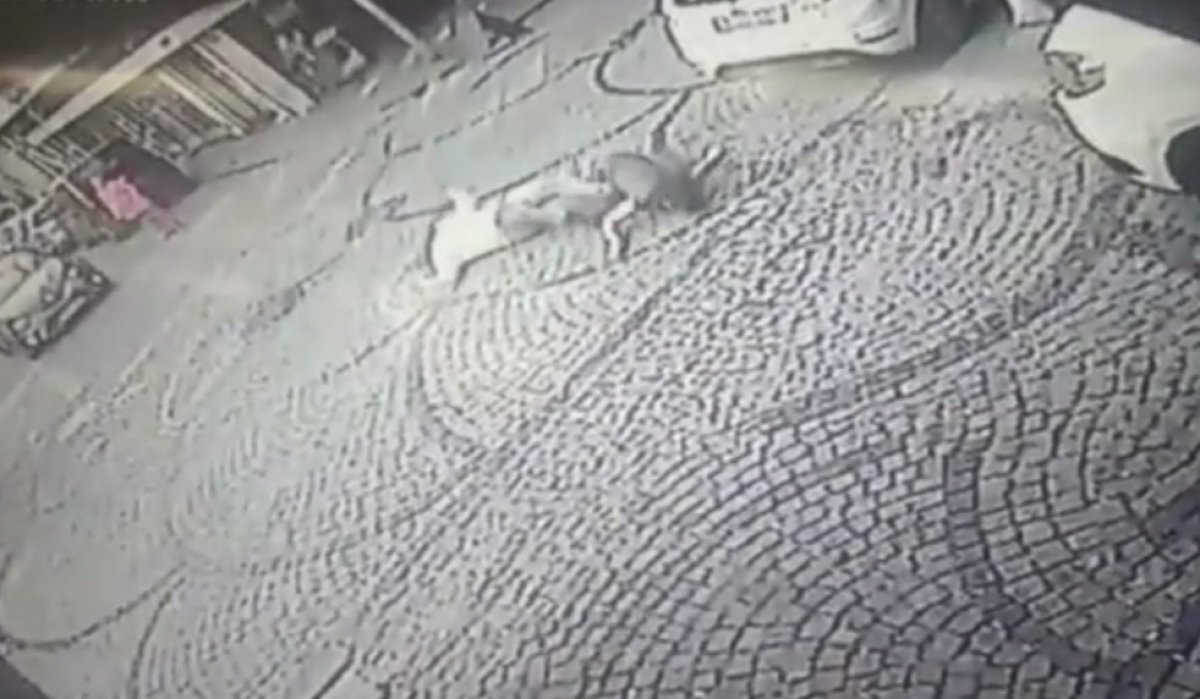 i İstanbul'da intihar eden kadını tutmaya çalıştı