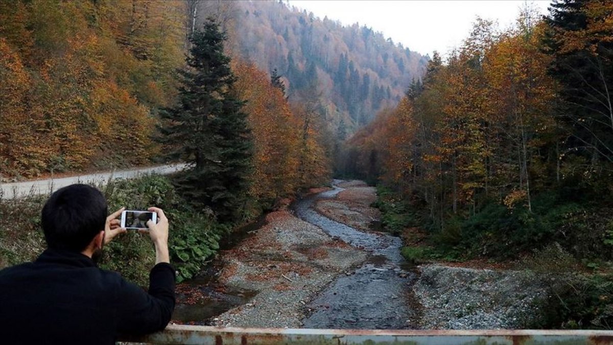a Düzce'nin doğal güzelliği turist çekiyor
