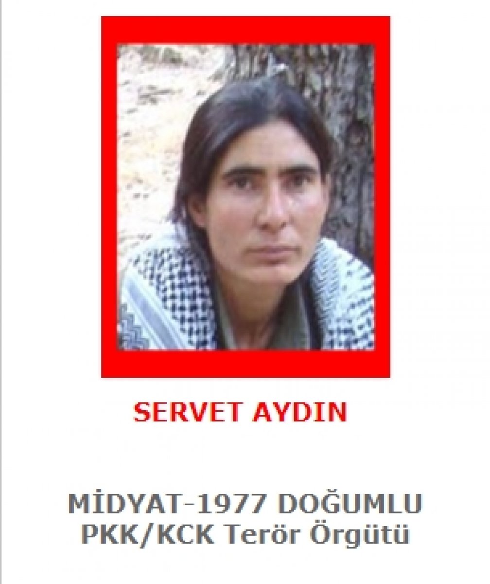 Gara'da öldürülen teröristler kırmızı kategoride çıktı