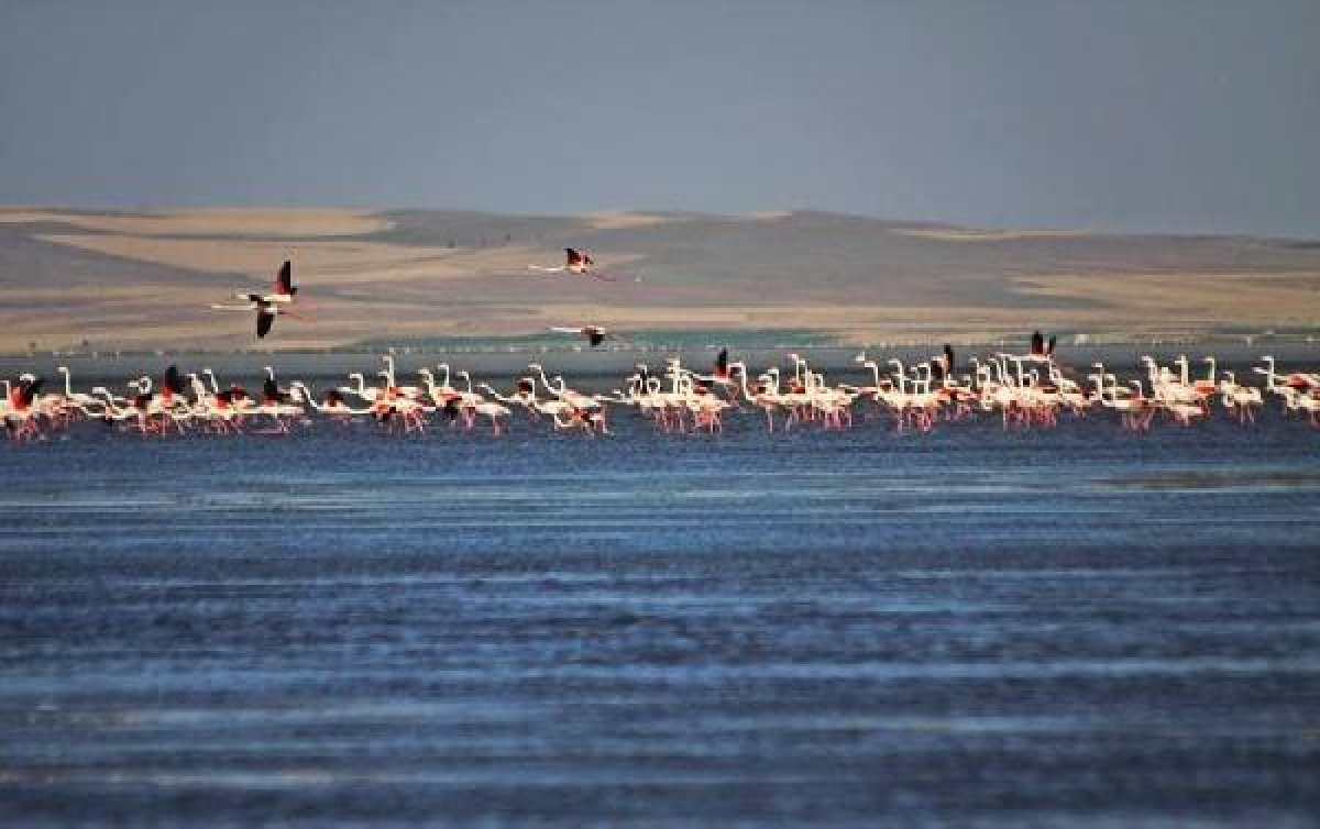 d Seyfe Gölü kuraklıkla mücadele ediyor